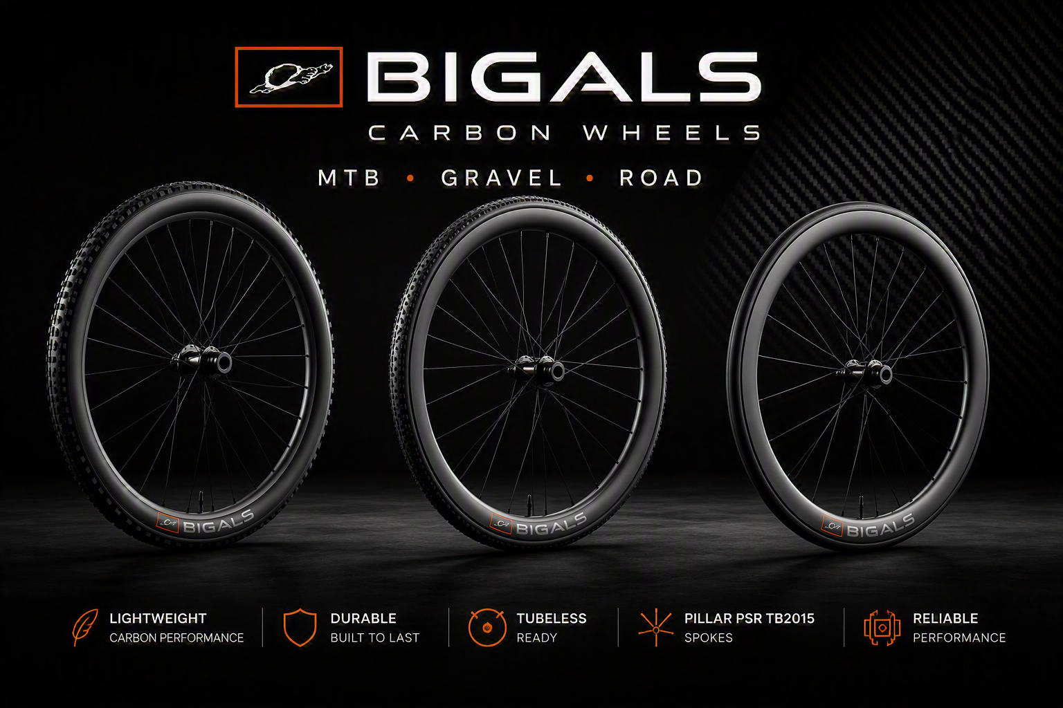 BIGALS Core Serie Carbon Laufräder