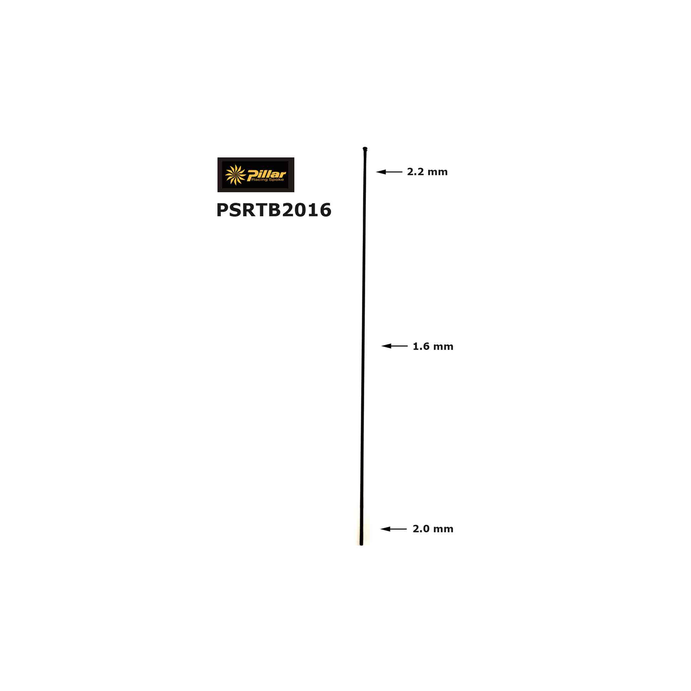 PSRTB2016 RADIOS SPEICHEN SPOKES 